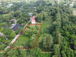 For sale land in San Sai, Chiang Mai