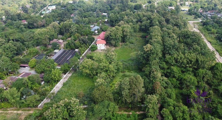 For sale land in San Sai, Chiang Mai