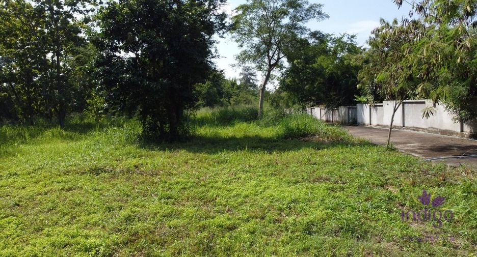 For sale land in San Sai, Chiang Mai
