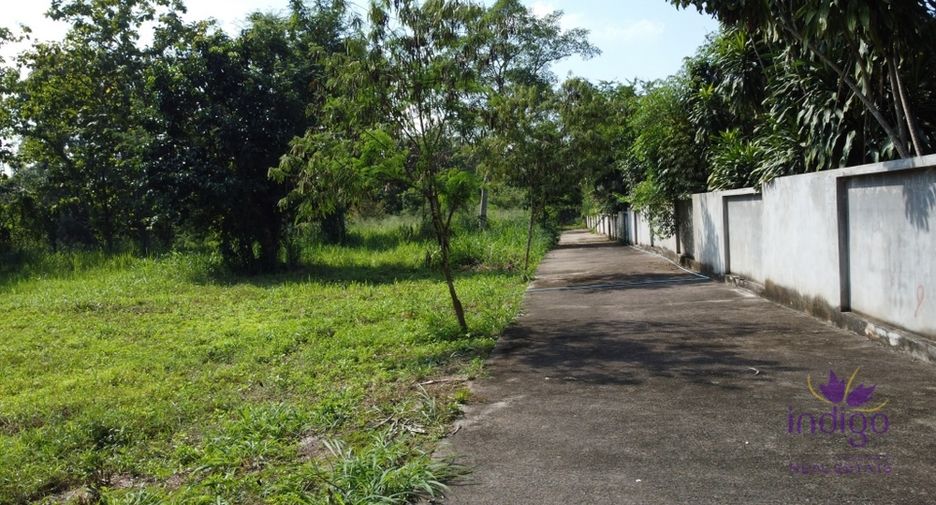 For sale land in San Sai, Chiang Mai
