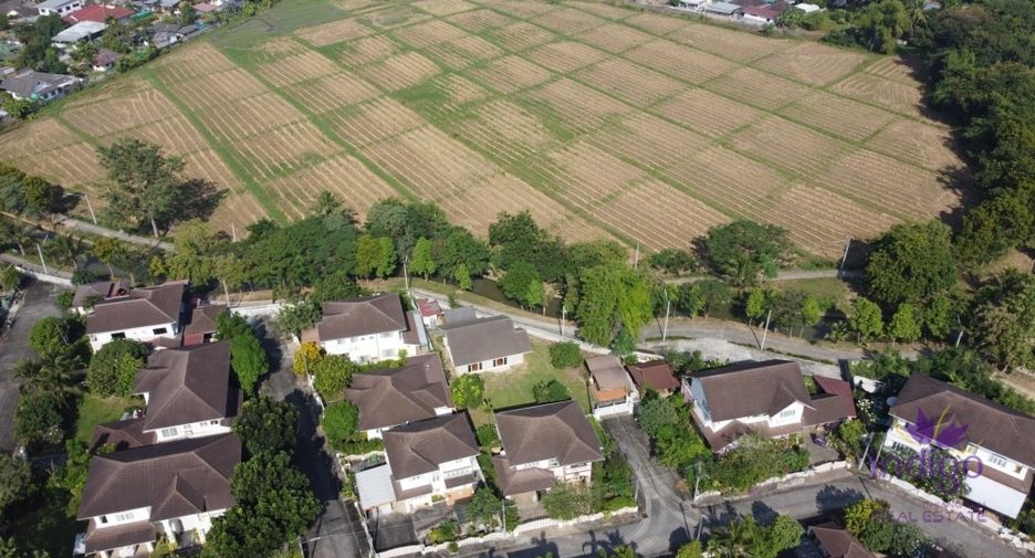 For sale 2 bedrooms house in San Sai, Chiang Mai