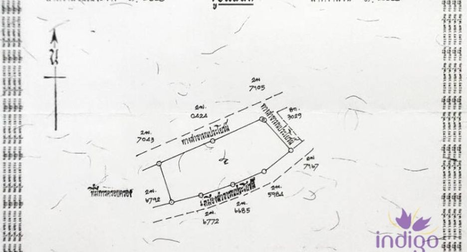 For sale land in Chiang Dao, Chiang Mai