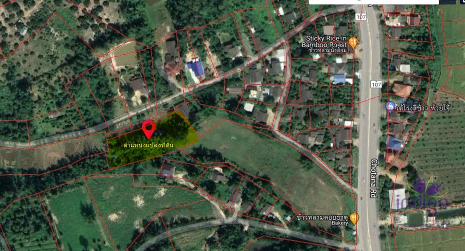 For sale land in Chiang Dao, Chiang Mai