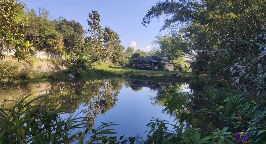 For sale land in Chiang Dao, Chiang Mai