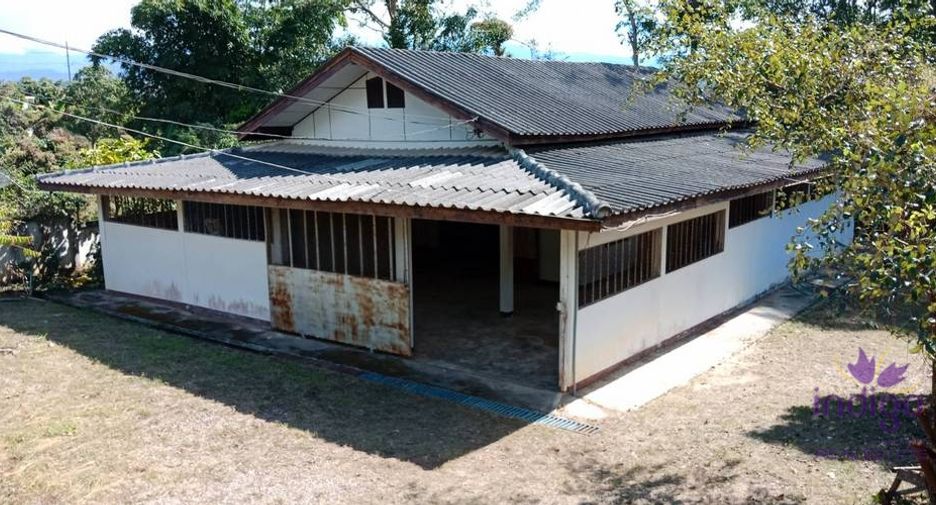 For sale land in Chiang Dao, Chiang Mai