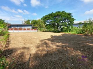 For sale land in Doi Saket, Chiang Mai