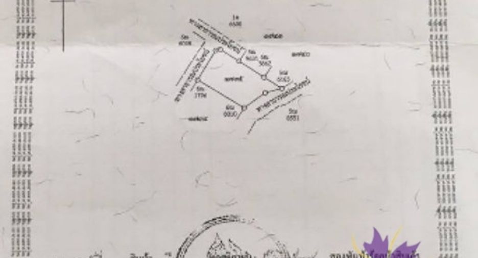 For sale land in Doi Saket, Chiang Mai