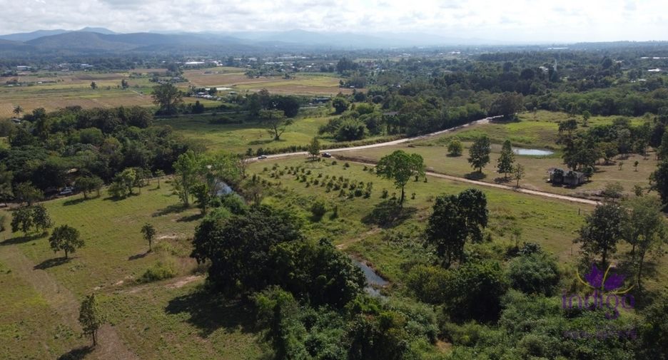For sale land in Mae Taeng, Chiang Mai