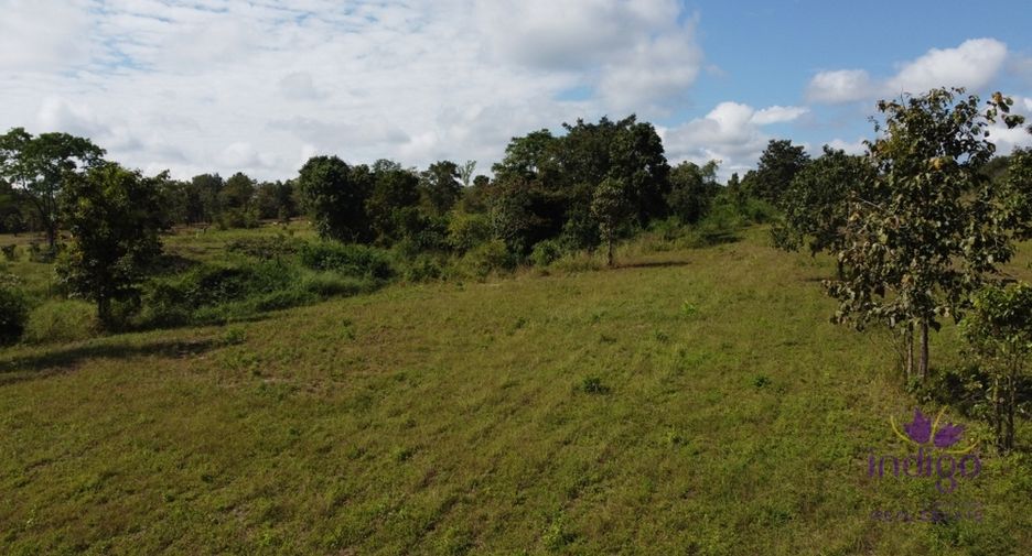 For sale land in Mae Taeng, Chiang Mai