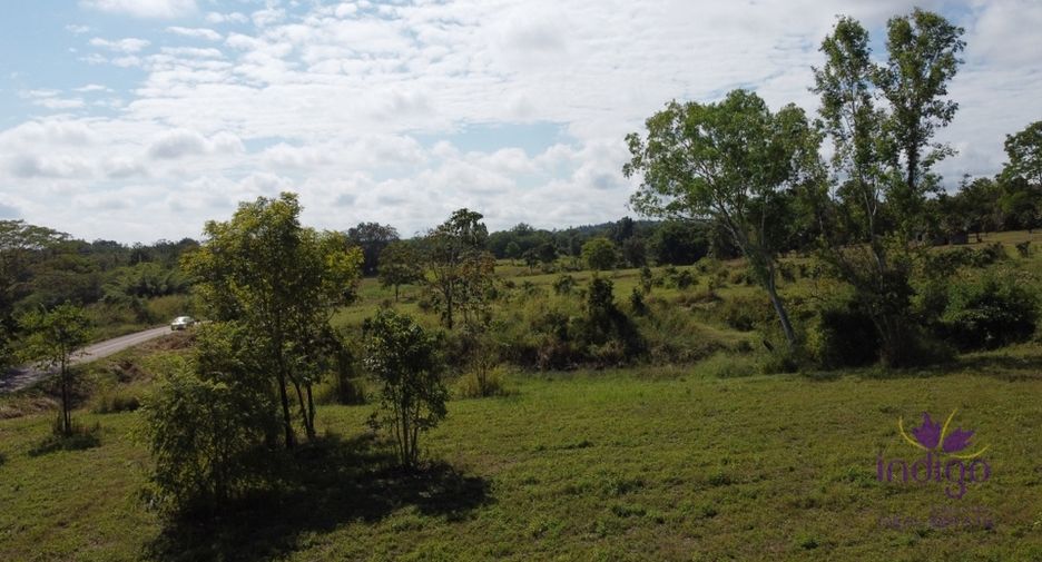 For sale land in Mae Taeng, Chiang Mai