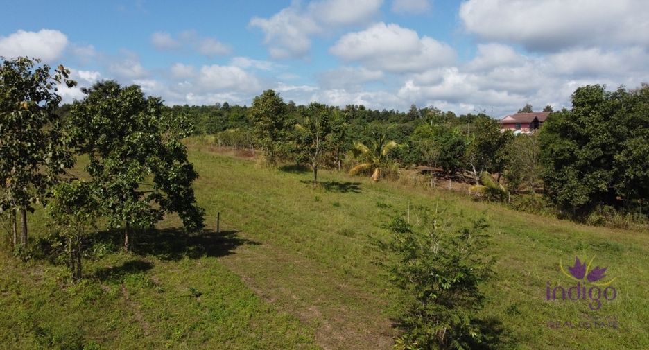 For sale land in Mae Taeng, Chiang Mai