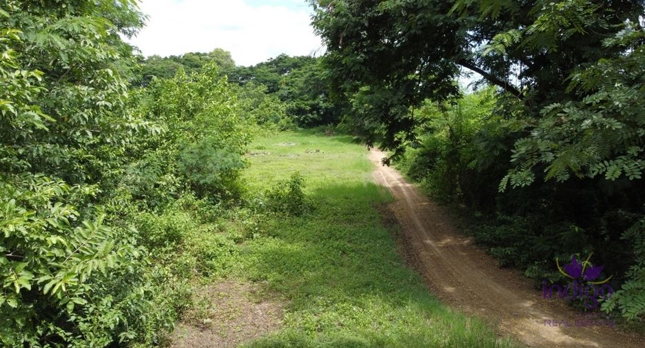 For sale land in Doi Saket, Chiang Mai