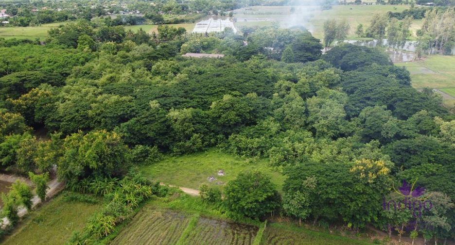 For sale land in Doi Saket, Chiang Mai