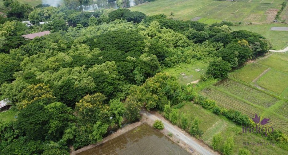 For sale land in Doi Saket, Chiang Mai