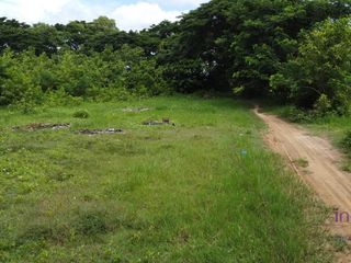 For sale land in Doi Saket, Chiang Mai