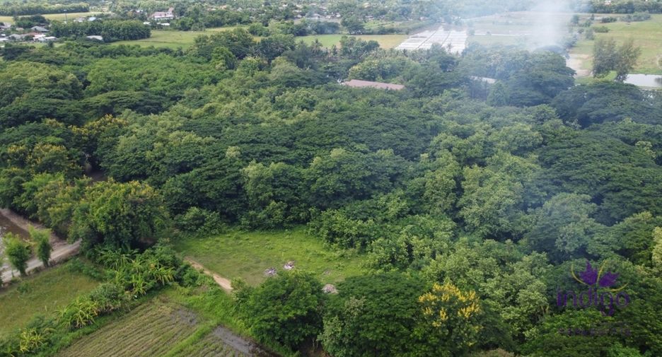 For sale land in Doi Saket, Chiang Mai