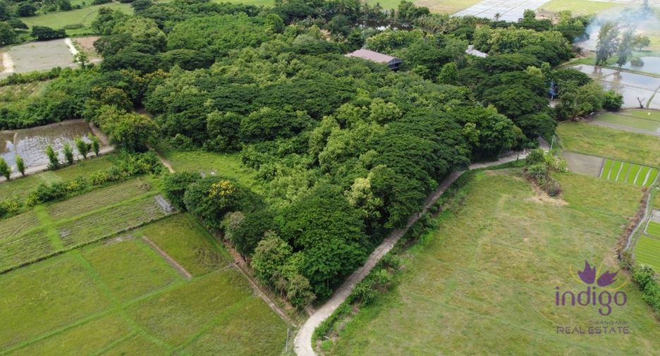 For sale land in Doi Saket, Chiang Mai