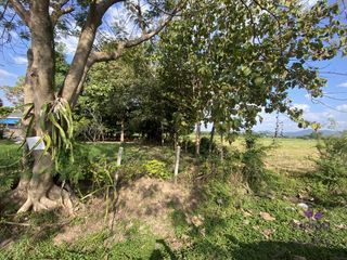 For sale land in San Kamphaeng, Chiang Mai