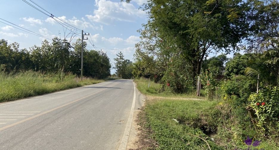 For sale land in San Kamphaeng, Chiang Mai