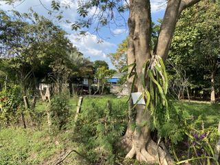 For sale land in San Kamphaeng, Chiang Mai