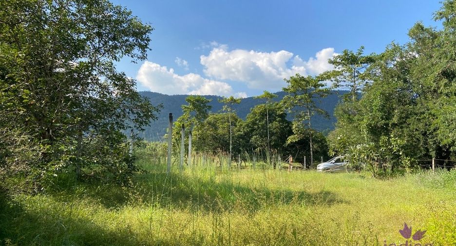 For sale land in San Kamphaeng, Chiang Mai