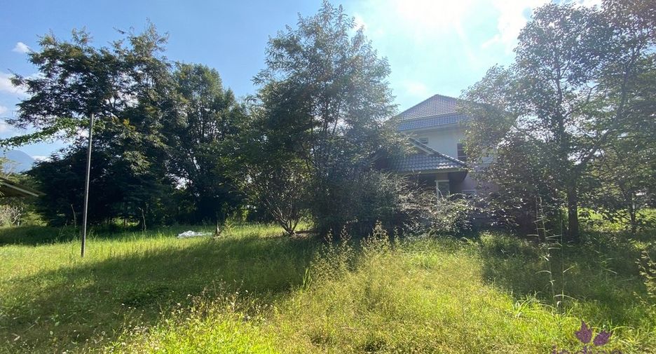 For sale land in San Kamphaeng, Chiang Mai