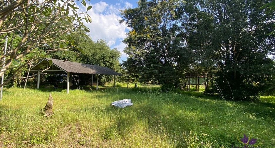 For sale land in San Kamphaeng, Chiang Mai