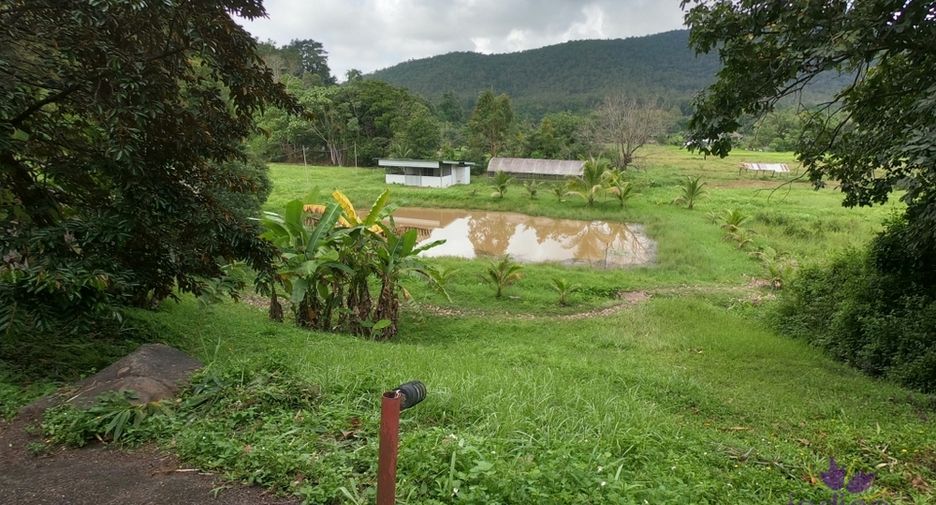 For sale 3 bedrooms house in Mae On, Chiang Mai