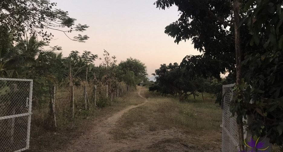 For sale land in Pa Sang, Lamphun