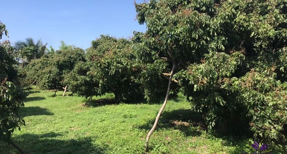 For sale land in Pa Sang, Lamphun