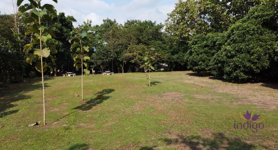 For sale land in San Pa Tong, Chiang Mai
