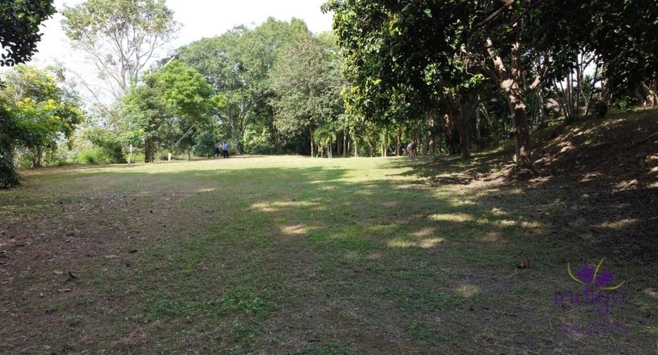 For sale land in San Pa Tong, Chiang Mai