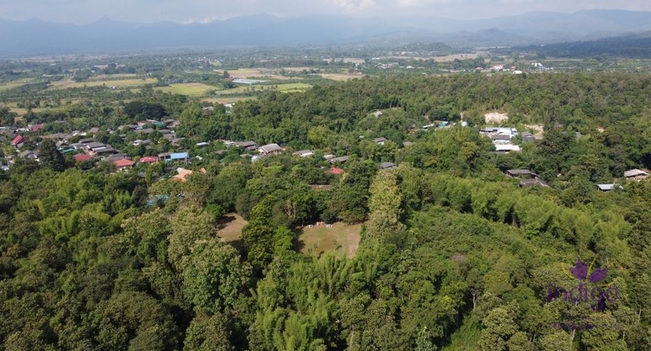 For sale land in San Pa Tong, Chiang Mai