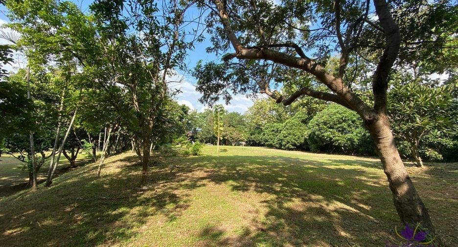 For sale land in San Pa Tong, Chiang Mai