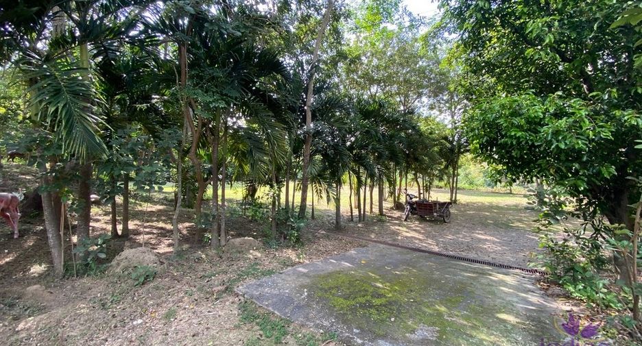 For sale land in San Pa Tong, Chiang Mai