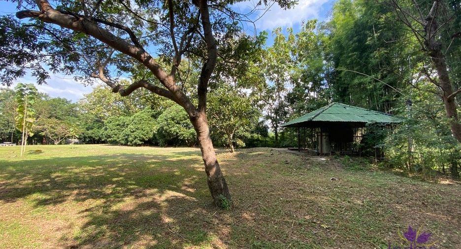For sale land in San Pa Tong, Chiang Mai