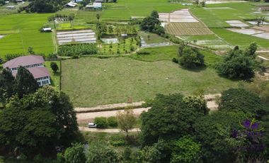 For sale land in San Kamphaeng, Chiang Mai