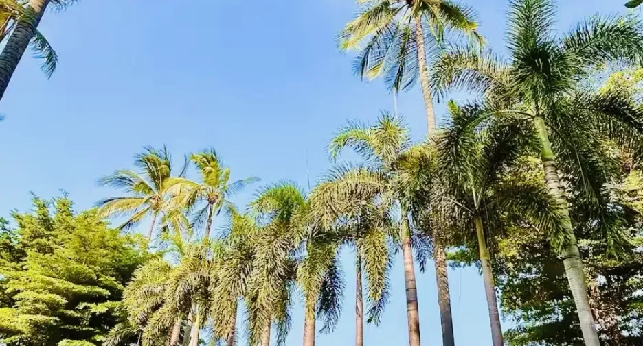 For sale 2 bedrooms condo in Ko Samui, Surat Thani