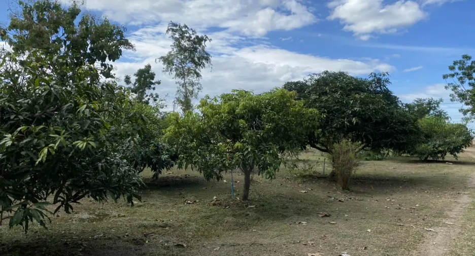 ขาย 5 ห้องนอน บ้านเดี่ยว ใน ชะอำ, เพชรบุรี