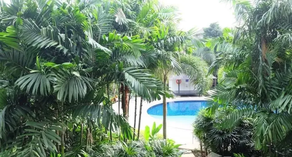 For rent 2 bedrooms apartment in Thalang, Phuket