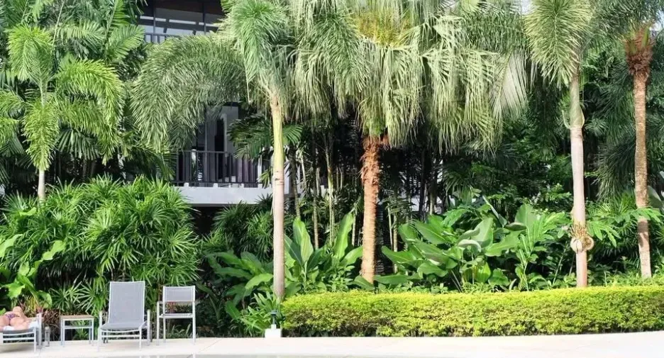 For rent 2 bedrooms apartment in Thalang, Phuket