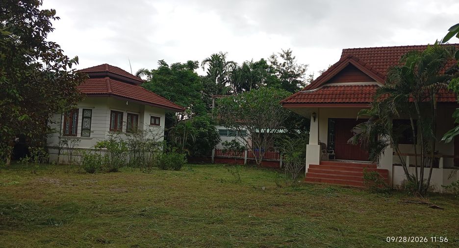 For sale land in Doi Saket, Chiang Mai