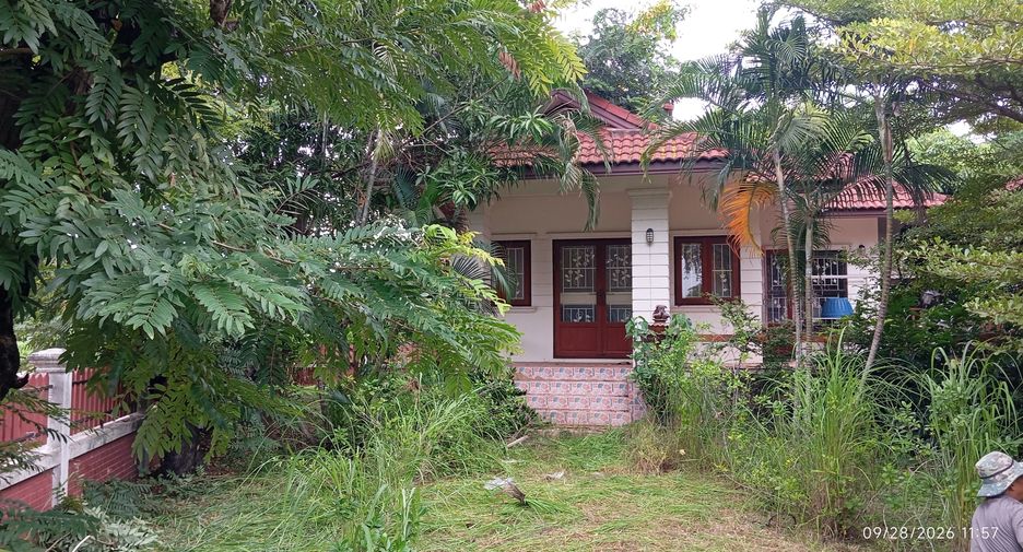 For sale land in Doi Saket, Chiang Mai