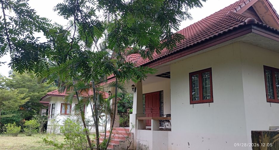 For sale land in Doi Saket, Chiang Mai