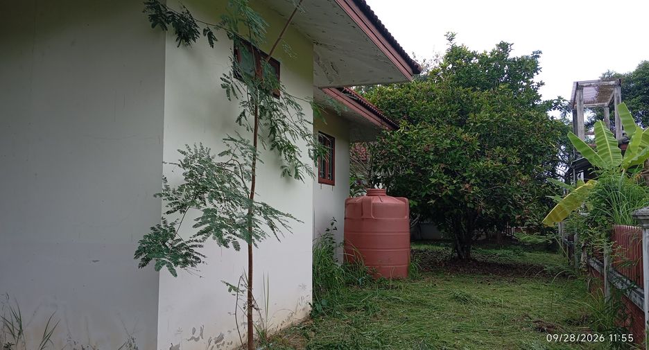 For sale land in Doi Saket, Chiang Mai