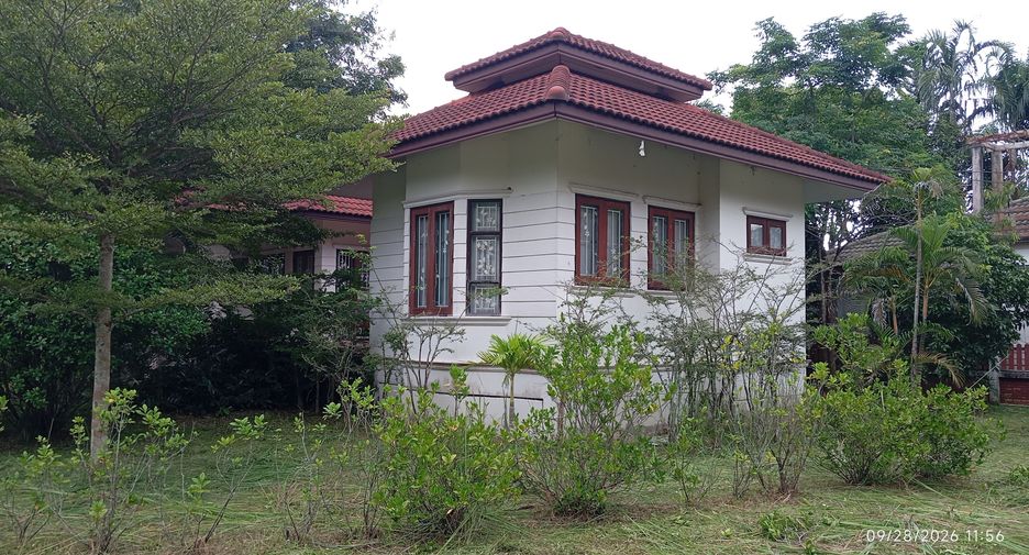 For sale land in Doi Saket, Chiang Mai