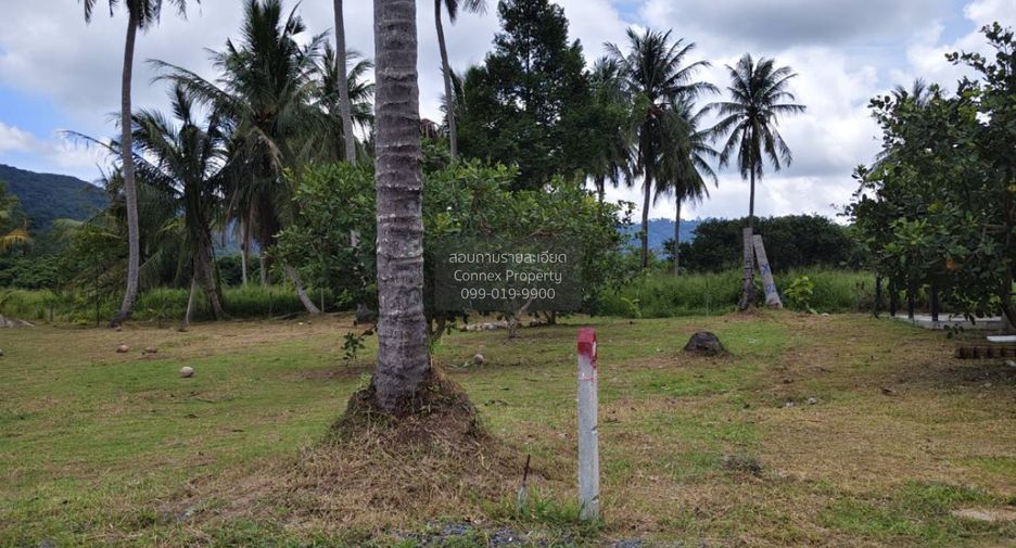 For sale 1 bed land in Thalang, Phuket