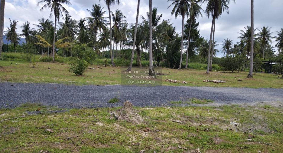 For sale 1 bed land in Thalang, Phuket
