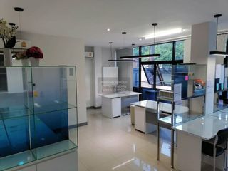 For sale 6 bedrooms retail Space in Mueang Phuket, Phuket