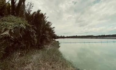 Terreno en venta en Phra Samut Chedi, Samut Prakan